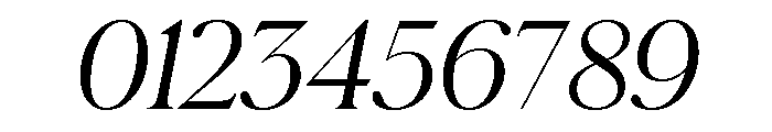 Schnyder S Light Italic Font OTHER CHARS