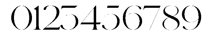Schnyder Wide XL Light Font OTHER CHARS