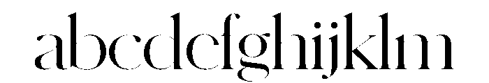 Schnyder Wide XL Light FONT