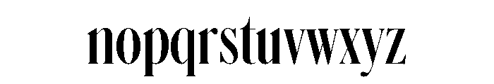 Schnyder X Condensed L Demi Font LOWERCASE