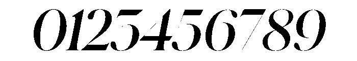 Schnyder XL Bold Italic Font OTHER CHARS