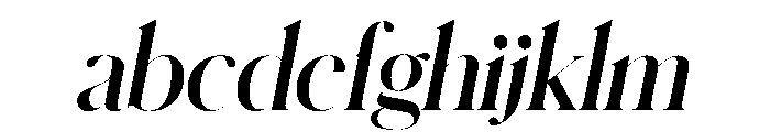 Schnyder XL Bold Italic FONT