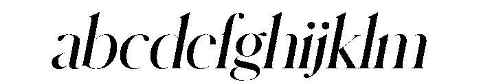 Schnyder XL Demi Italic FONT