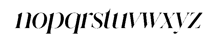 Schnyder XL Demi Italic Font LOWERCASE