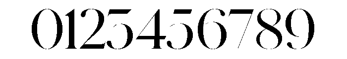Schnyder XL Demi Font OTHER CHARS