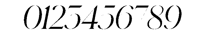 Schnyder XL Light Italic Font OTHER CHARS