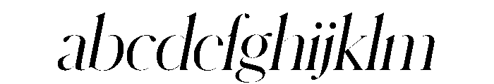 Schnyder XL Light Italic FONT