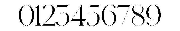 Schnyder XL Light Font OTHER CHARS
