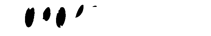 Scandiebox Script Counters Font UPPERCASE