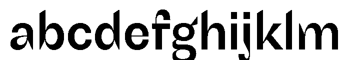 Schizotype Grotesk Bold FONT