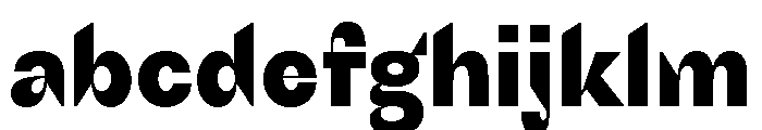 Schizotype Grotesk Heavy FONT
