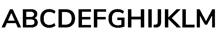 Seitu Variable Bold Font UPPERCASE