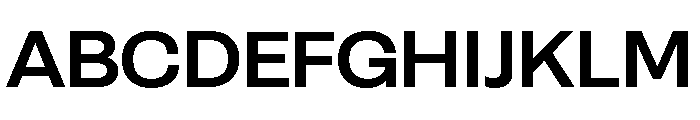 Setar L Bold Font UPPERCASE