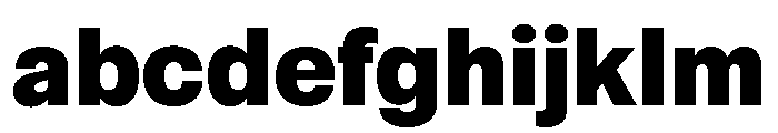 Sets Grotesk S Heavy FONT