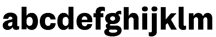 Sets Grotesk XS ExtraBold FONT
