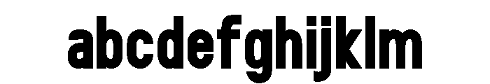 SELLON Bold FONT