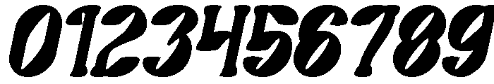 Secret Garden Bold Italic Font OTHER CHARS