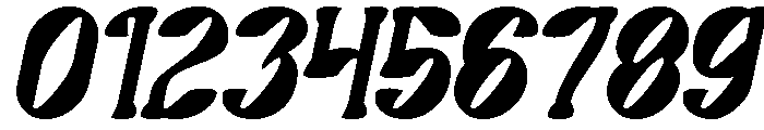 Secret Garden Italic Font OTHER CHARS