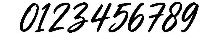 Seloria Script Font OTHER CHARS