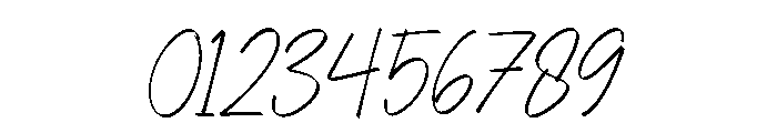 Selovira Signature Italic Font OTHER CHARS