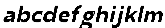 Seragil Bold Italic FONT