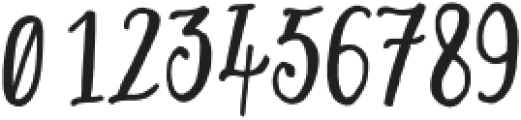 Secret Garden Serif Heavy otf (800) Font OTHER CHARS