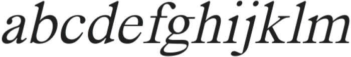 Segikan Light Italic otf (300) Font LOWERCASE
