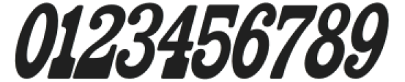 SeleborCondensed-Oblique otf (400) Font OTHER CHARS