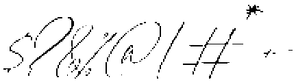 Selvine Script Regular otf (400) Font OTHER CHARS