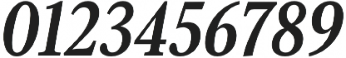 Senlot Serif Cond Bold Italic otf (700) Font OTHER CHARS