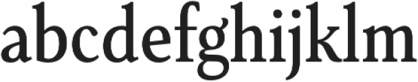 Senlot Serif Cond Medium otf (500) Font LOWERCASE