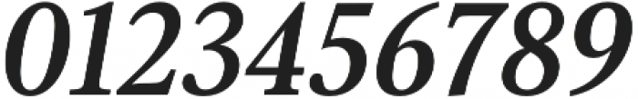 Senlot Serif Ext Bold Italic otf (700) Font OTHER CHARS