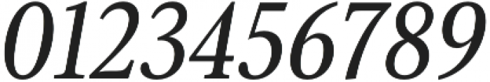 Senlot Serif Norm Medium Italic otf (500) Font OTHER CHARS