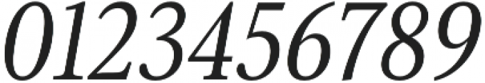 Senlot Serif Norm Regular Italic otf (400) Font OTHER CHARS