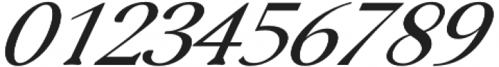 Serenity Serif Italic otf (400) Font OTHER CHARS