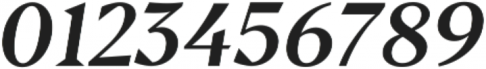 Serif Italic ttf (400) Font OTHER CHARS