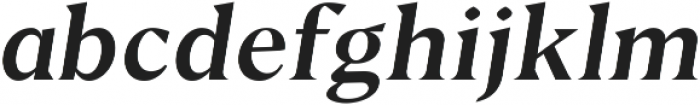 Serif Italic ttf (400) Font LOWERCASE