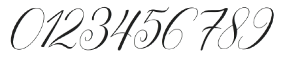 Seychell Script Slant Regular otf (400) Font OTHER CHARS