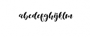 Selda Script.ttf Font LOWERCASE