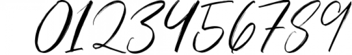 Seirra Typeface (Brush Font & Serif Font) plus SVG Font 1 Font OTHER CHARS