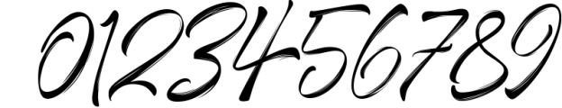 Selfakia Brush Font Font OTHER CHARS