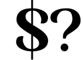 Serif Font Bundle - 8 Perfect Serif Font 13 Font OTHER CHARS