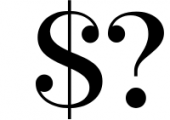 Serif Font Bundle - 8 Perfect Serif Font 2 Font OTHER CHARS