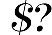 Serif Font Bundle - 8 Perfect Serif Font 3 Font OTHER CHARS