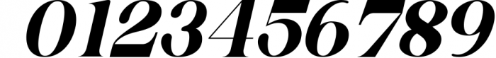 Serif Font Bundle - 8 Perfect Serif Font Font OTHER CHARS