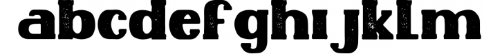 Serif & Sans Serif Font Bundle - Best Seller Font Collection 12 Font LOWERCASE