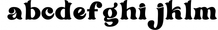 Serif & Sans Serif Font Bundle - Best Seller Font Collection 14 Font LOWERCASE