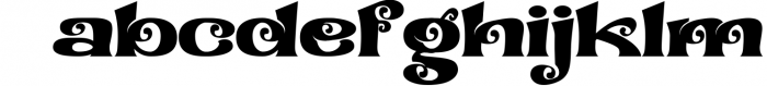 Serif & Sans Serif Font Bundle - Best Seller Font Collection 8 Font LOWERCASE