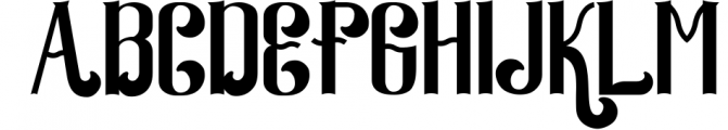 Serif & Sans Serif Font Bundle - Best Seller Font Collection Font UPPERCASE