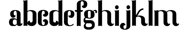 Serif & Sans Serif Font Bundle - Best Seller Font Collection Font LOWERCASE
